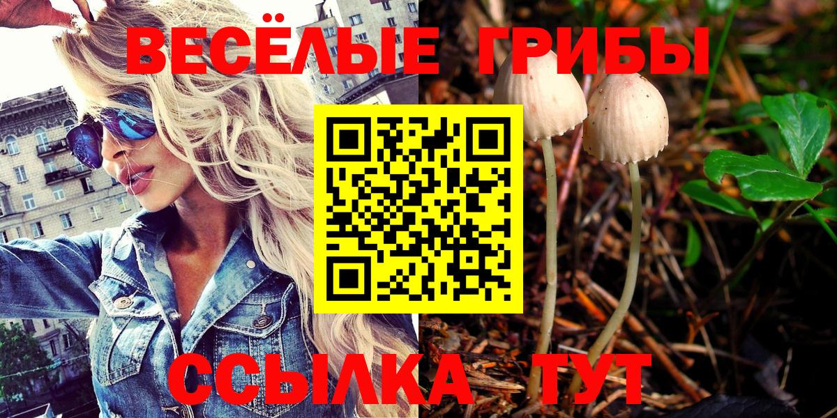 Галлюциногенные грибы прущие грибы Аша