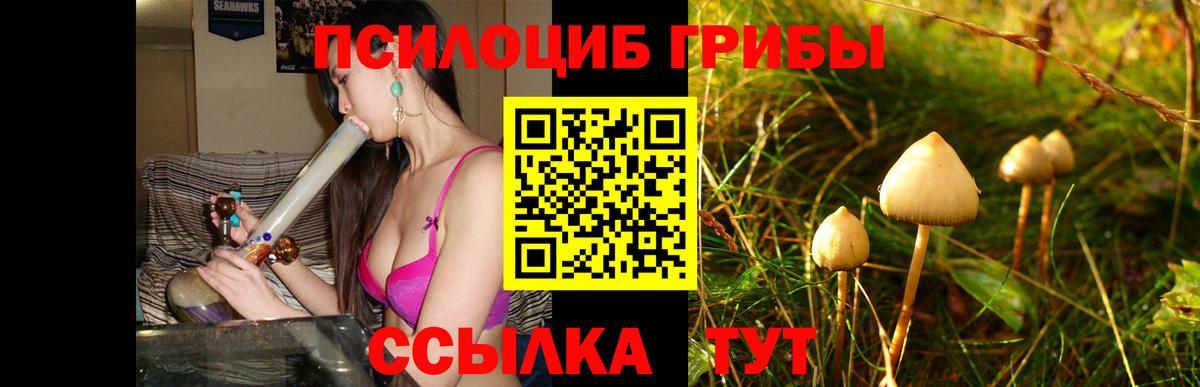 где продают   Вход с VPN  Аша  Псилоцибиновые грибы Magic Shrooms 